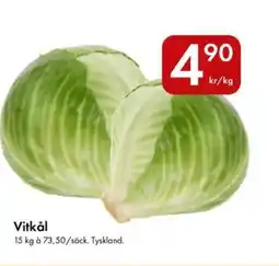 Snabbgross Vitkål erbjuda