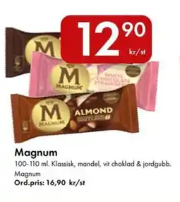 Snabbgross Magnum erbjuda