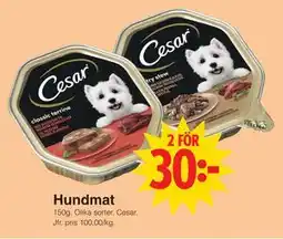 Matöppet Hundmat erbjuda