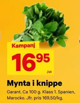 City Gross Mynta i knippe erbjuda