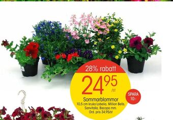 EKO Plantor erbjuda