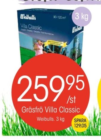 EKO Weibull Gräsfrö erbjuda
