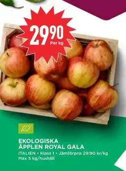 Willys Ekologiska Äpplen royal gala erbjuda