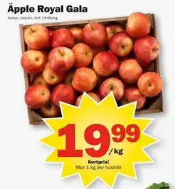Pekås Äpple Royal Gala, Medlemspris erbjuda