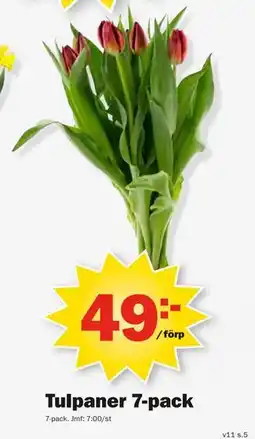 Pekås Tulpaner 7-pack erbjuda