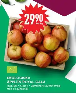 Willys Hemma EKOLOGISKA ÄPPLEN ROYAL GALA erbjuda