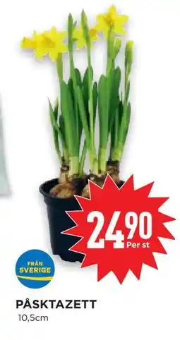 Willys Hemma PÅSKTAZETT erbjuda