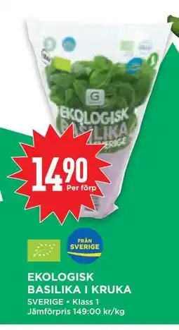 Willys Hemma EKOLOGISK BASILIKA I KRUKA erbjuda