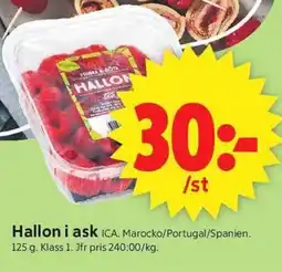ICA Supermarket ICA Hallon i ask erbjuda