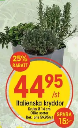 EKO Italienska kryddor erbjuda