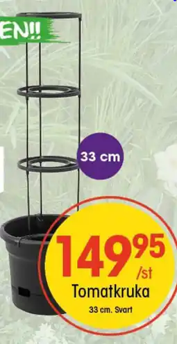 EKO Tomatkruka erbjuda