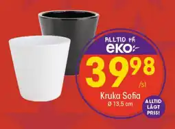 EKO Kruka sofia erbjuda