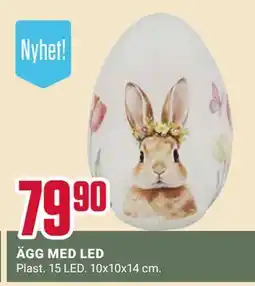 ÖoB ÄGG MED LED erbjuda