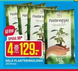 ÖoB ODLA PLANTERINGSJORD erbjuda