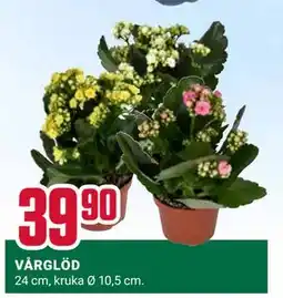 ÖoB VÅRGLÖD erbjuda
