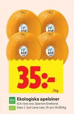 ICA Supermarket Ekologiska Apelsiner erbjuda