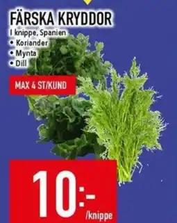 Matdax Färska kryddor erbjuda