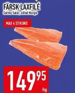 Matdax Färsk laxfile erbjuda