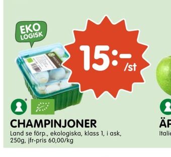 Tempo Champinjoner erbjuda