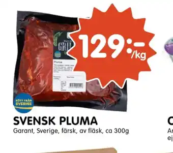 Tempo Garant Pluma erbjuda