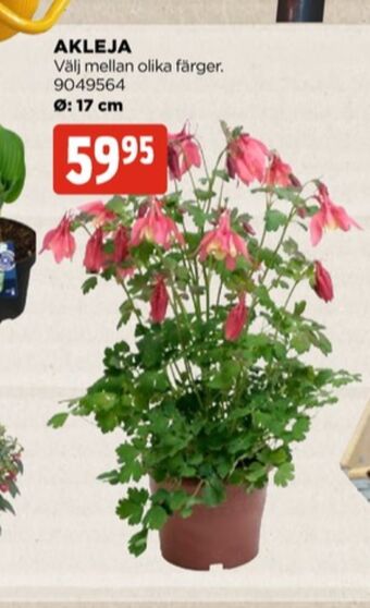 Jem&Fix Plantor erbjuda