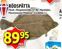 Matvärlden Tensta RÖDSPÄTTA erbjuda