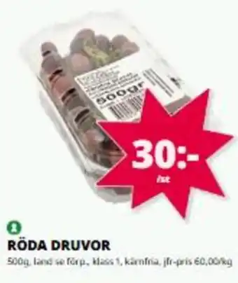 Röda druvor