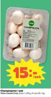 Coop CHAMPINJONER I ASK erbjuda