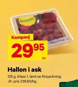 City Gross Hallon i ask erbjuda