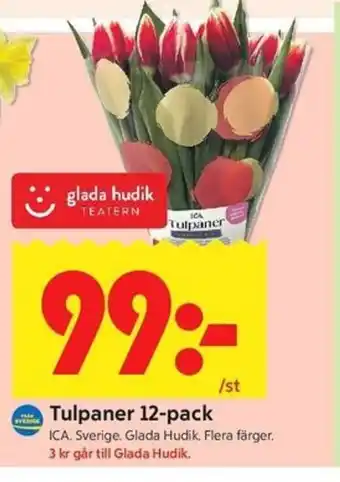 ICA Kvantum Tulpaner 12-pack erbjuda
