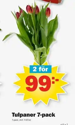 Pekås Tulpaner 7-pack erbjuda