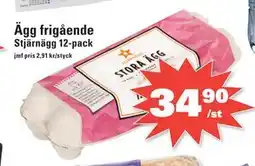 Nära dej Ägg frigående erbjuda