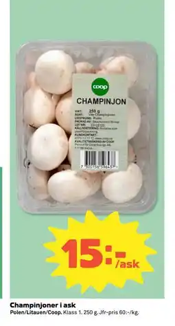Coop Daglivs Champinjoner i ask erbjuda