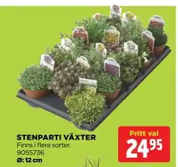 Jem&Fix STENPARTI VÄXTER erbjuda