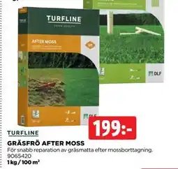 Jem&Fix GRÄSFRÖ AFTER MOSS erbjuda