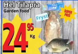 Supergrossen Hel Tilapia erbjuda