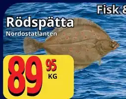 Supergrossen Rödspätta erbjuda