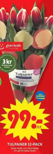 ICA Maxi ICA Tulpaner erbjuda