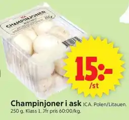 ICA Supermarket CHAMPINJONER I ASK erbjuda