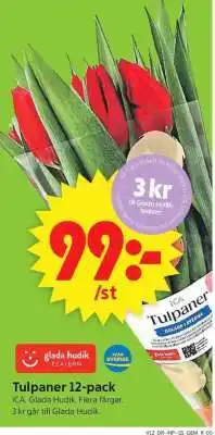 ICA Supermarket TULPANER 12-PACK erbjuda