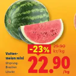 Lidl Vatten- melon mini erbjuda