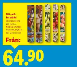 Lidl Nöt- och fruktträd erbjuda