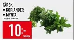 Matdax Färsk Koriander • mynta erbjuda