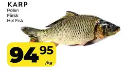 Matrix Butikerna Karp erbjuda