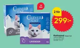 DollarStore CLEVER CAT Kattsand erbjuda