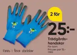 DollarStore Trädgårds- handskar erbjuda