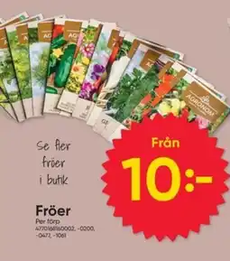 DollarStore Fröer erbjuda