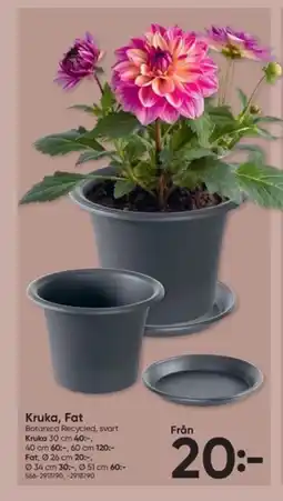 DollarStore Kruka, fat erbjuda