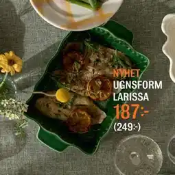 Mio UGNSFORM LARISSA erbjuda