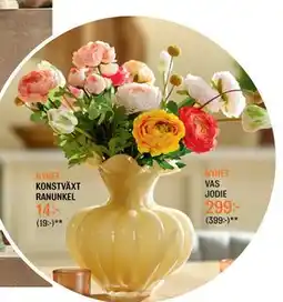 Mio VAS JODIE erbjuda